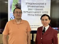 ������� �� ���� �� ����� ������������ �������� ��������, ���������, ���������, ������������� �������������������