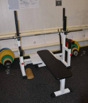 ����� ������������ ������� ����������� � ��������� ������