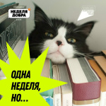 ���������� ��������� ����� ������������� ������ �����