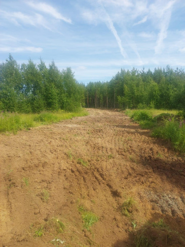 ������� ���� ���� ������� ����� �������� ��������������� ������� ������� �������