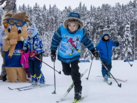 ������ �������: ��������� ���� ������� ����� � ������������� ������������� ������