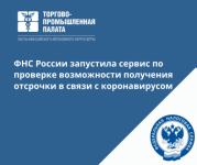 ����������� ���������������� ���� � ����� ������� ���: �������� ����������� �������� �� ������� ��-�� ��������